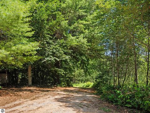 Tiny photo for 3551 Donna Lane, Cadillac, MI 49601 (MLS # 1947825)