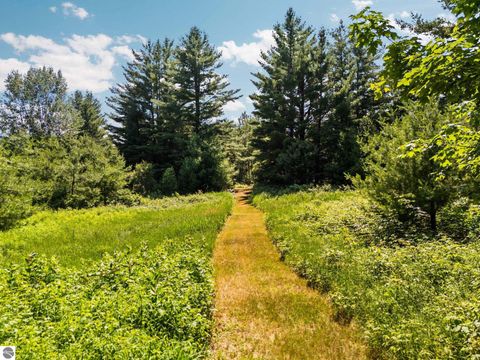 Tiny photo for 3551 Donna Lane, Cadillac, MI 49601 (MLS # 1947825)