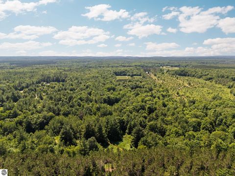 Tiny photo for 3551 Donna Lane, Cadillac, MI 49601 (MLS # 1947825)