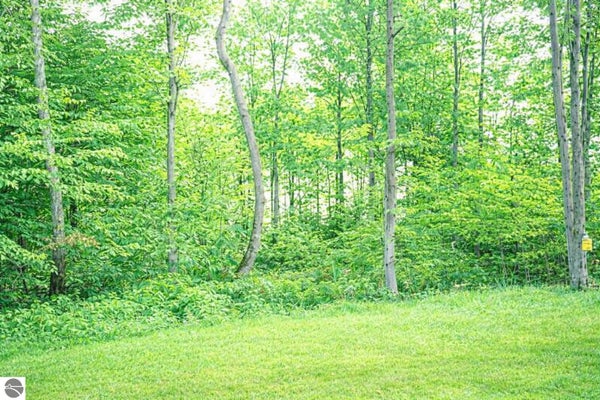 8922 CEDAR CREEK DR, PETOSKEY, MI 49770 - Image 5b1dc66dfbebd5e4e3f4e2548c18e3e7/358307278