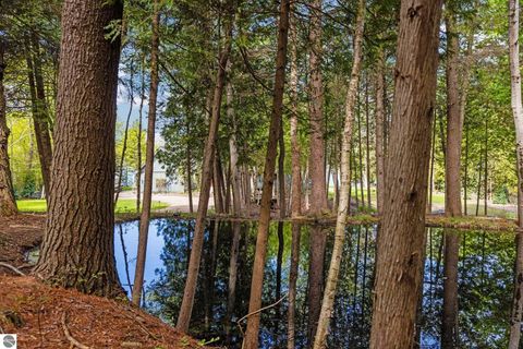 Tiny photo for 1034 S East Torch Lake Drive, Bellaire, MI 49615 (MLS # 1945466)