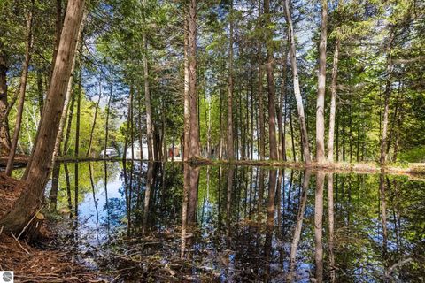 Tiny photo for 1034 S East Torch Lake Drive, Bellaire, MI 49615 (MLS # 1945466)