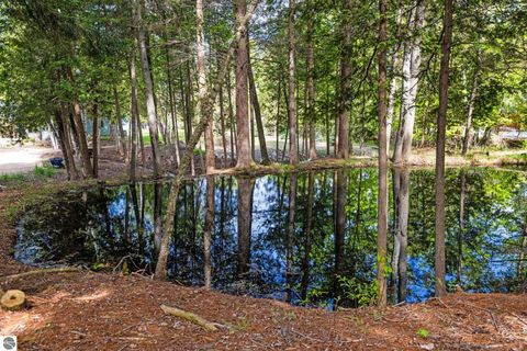 Tiny photo for 1034 S East Torch Lake Drive, Bellaire, MI 49615 (MLS # 1945466)