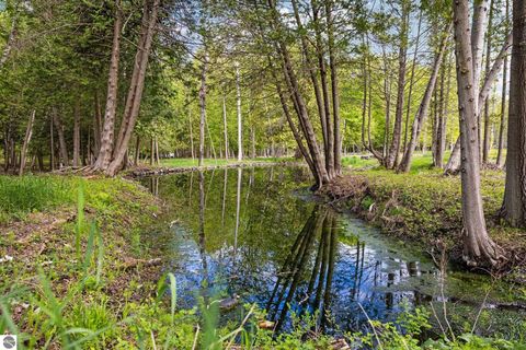 Tiny photo for 1034 S East Torch Lake Drive, Bellaire, MI 49615 (MLS # 1945466)