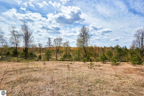 Tiny photo for 5948 SE Kniss Road, Kalkaska, MI 49646 (MLS # 1944973)