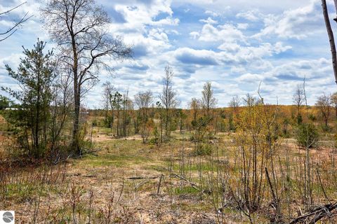 Tiny photo for 5948 SE Kniss Road, Kalkaska, MI 49646 (MLS # 1944973)