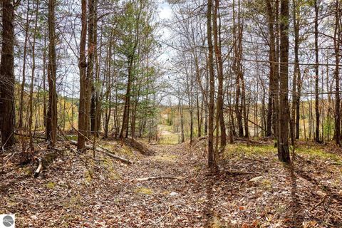 Tiny photo for 5948 SE Kniss Road, Kalkaska, MI 49646 (MLS # 1944973)