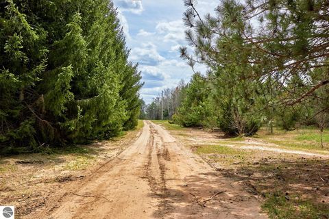 Tiny photo for 5948 SE Kniss Road, Kalkaska, MI 49646 (MLS # 1944973)