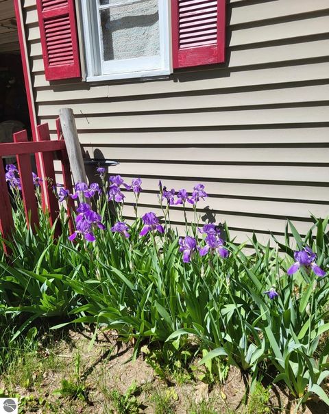 Tiny photo for 8200 Chain Lake Road, South Branch, MI 48761 (MLS # 1944114)