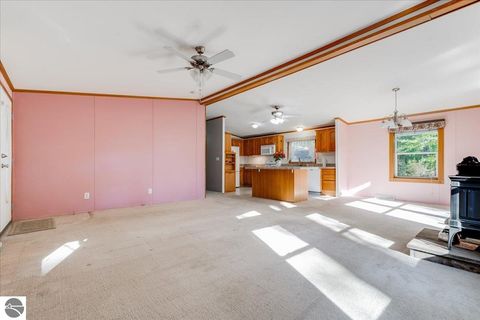 Tiny photo for 8200 Chain Lake Road, South Branch, MI 48761 (MLS # 1944114)