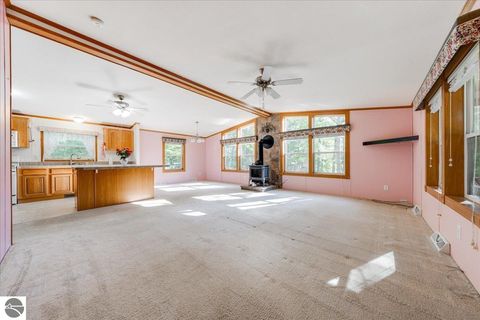 Tiny photo for 8200 Chain Lake Road, South Branch, MI 48761 (MLS # 1944114)