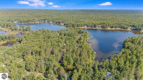 Tiny photo for 8200 Chain Lake Road, South Branch, MI 48761 (MLS # 1944114)