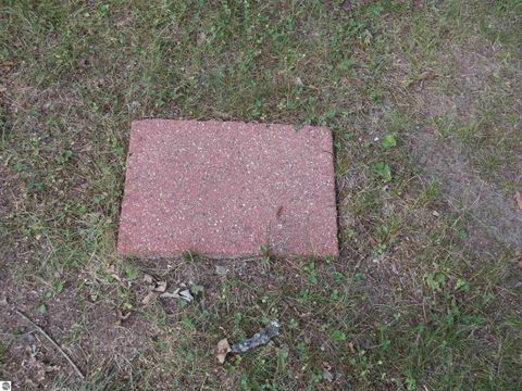 Tiny photo for 8200 Chain Lake Road, South Branch, MI 48761 (MLS # 1944114)