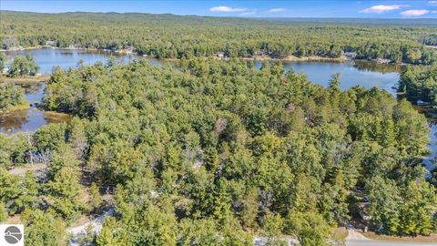 Tiny photo for 8200 Chain Lake Road, South Branch, MI 48761 (MLS # 1944114)