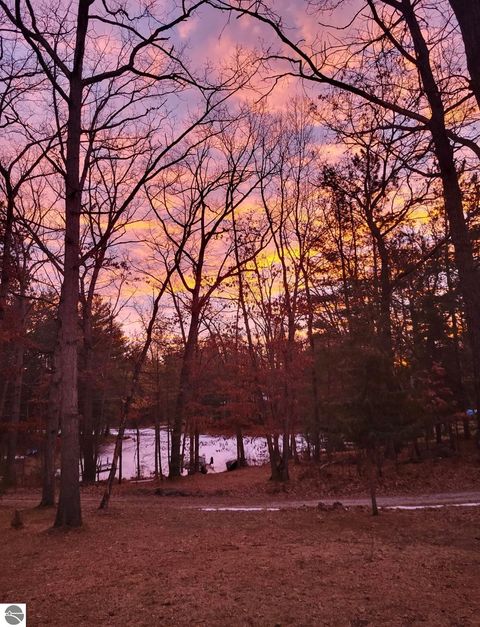 Tiny photo for 8200 Chain Lake Road, South Branch, MI 48761 (MLS # 1944114)