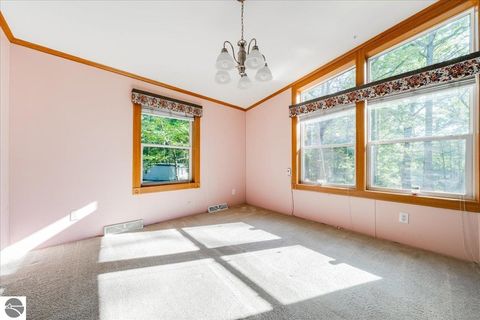 Tiny photo for 8200 Chain Lake Road, South Branch, MI 48761 (MLS # 1944114)