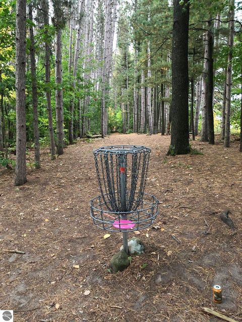 Tiny photo for 1546 Nightingale Lane, Kingsley, MI 49649 (MLS # 1943564)