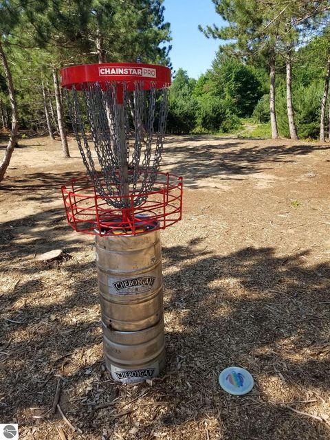 Tiny photo for 1546 Nightingale Lane, Kingsley, MI 49649 (MLS # 1943564)