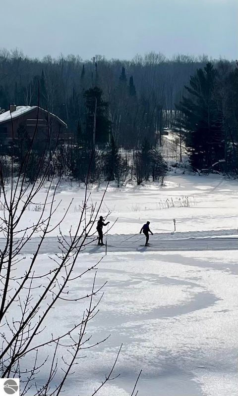 Tiny photo for 6520 Schuss Mountain Lane #209, Mancelona, MI 49659 (MLS # 1942222)