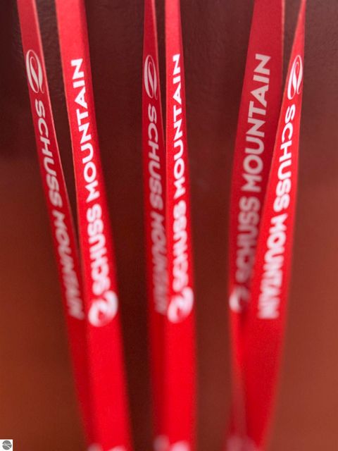 Tiny photo for 6520 Schuss Mountain Lane #209, Mancelona, MI 49659 (MLS # 1942222)