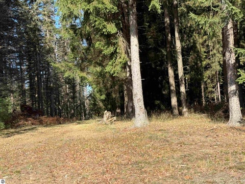 Tiny photo for 20688 Hibma Road, Tustin, MI 49688 (MLS # 1952101)