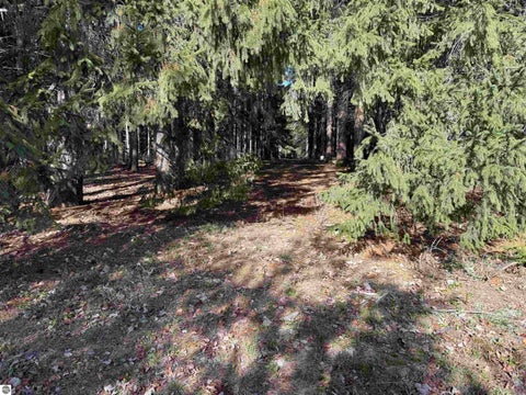 Tiny photo for 20688 Hibma Road, Tustin, MI 49688 (MLS # 1952101)