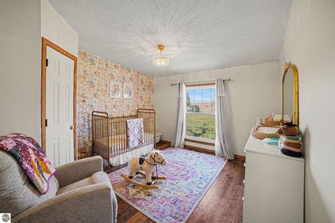 Tiny photo for 3949 S Alamando Road, St Louis, MI 48880 (MLS # 1943128)