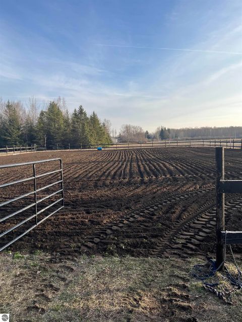 Tiny photo for 3949 S Alamando Road, St Louis, MI 48880 (MLS # 1943128)