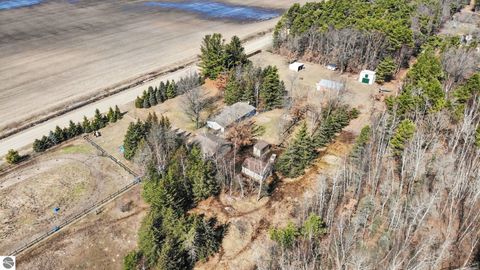 Tiny photo for 3949 S Alamando Road, St Louis, MI 48880 (MLS # 1943128)