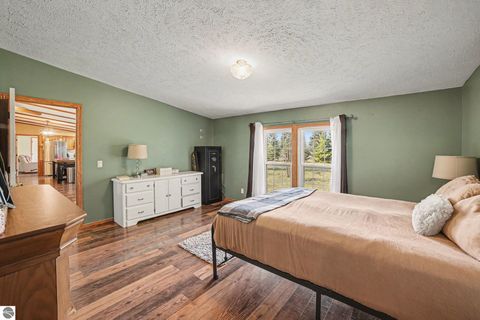 Tiny photo for 3949 S Alamando Road, St Louis, MI 48880 (MLS # 1943128)