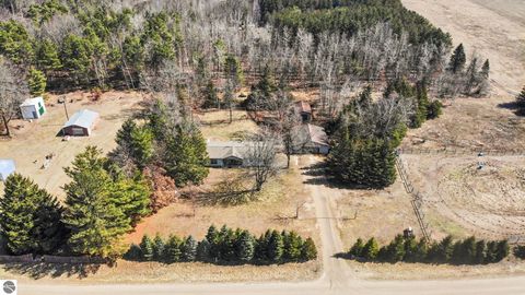 Tiny photo for 3949 S Alamando Road, St Louis, MI 48880 (MLS # 1943128)