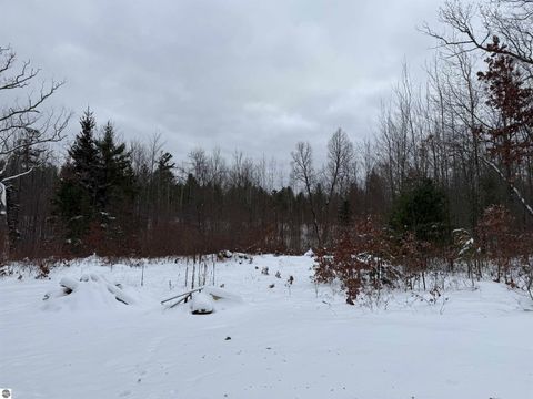 Tiny photo for 6595 Wickert Road, Hale, MI 48739 (MLS # 1941195)