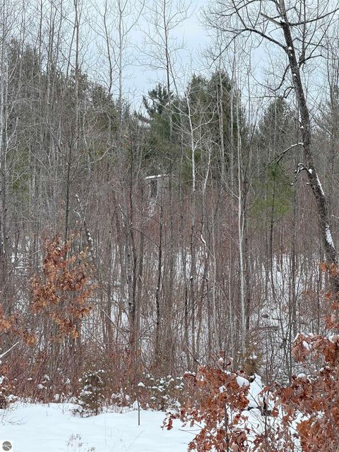 Tiny photo for 6595 Wickert Road, Hale, MI 48739 (MLS # 1941195)