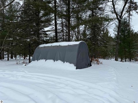 Tiny photo for 6595 Wickert Road, Hale, MI 48739 (MLS # 1941195)