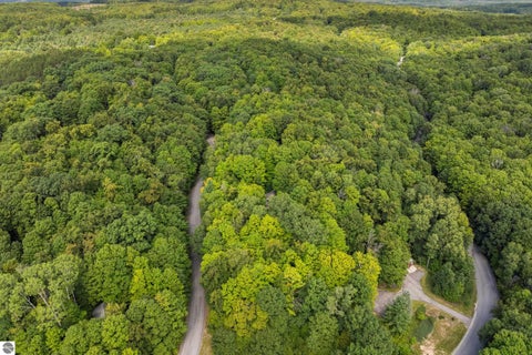 Tiny photo for 6631 Wasservalden Strasse, Bellaire, MI 49615 (MLS # 1950258)