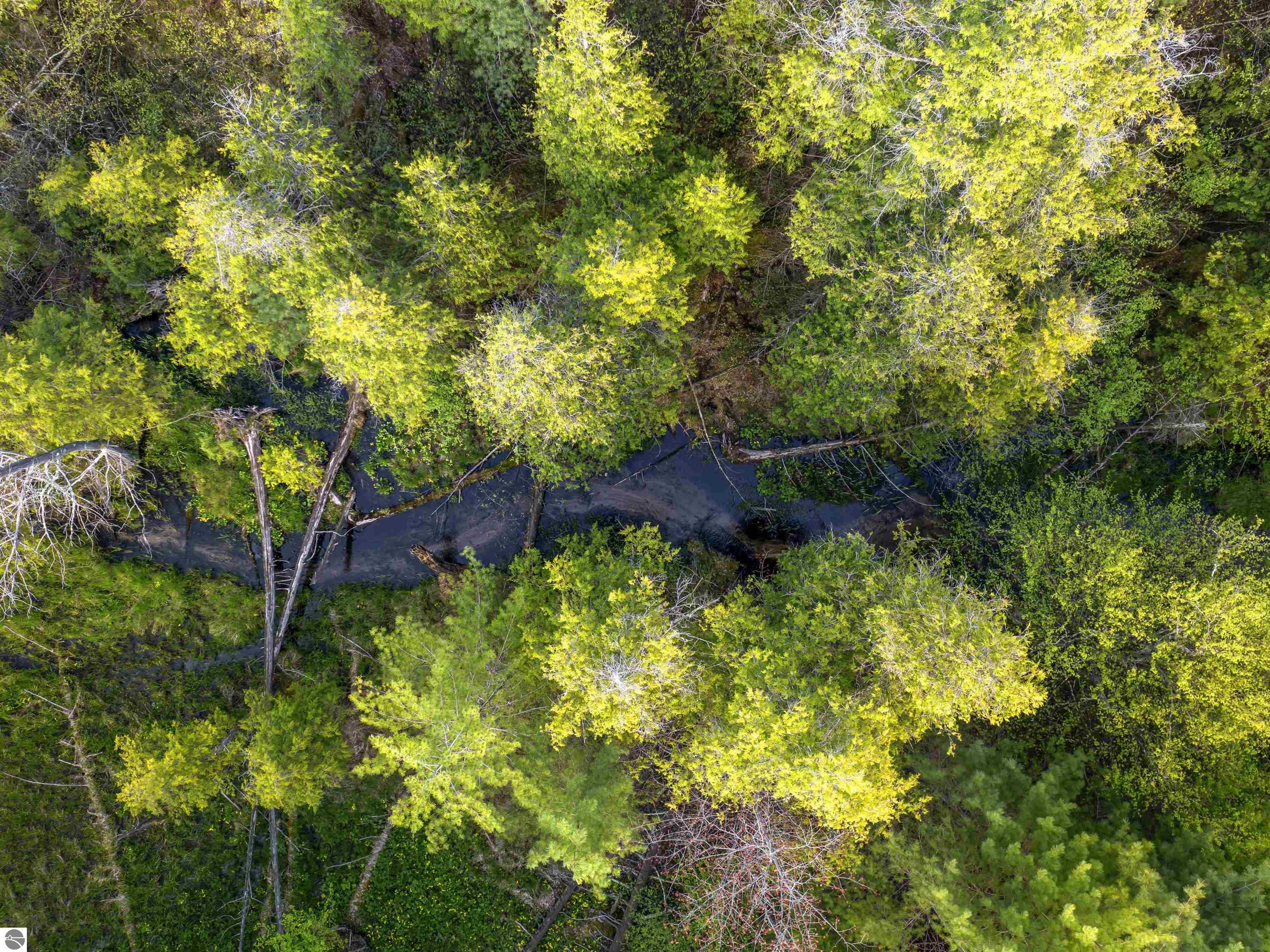 Photo 1 of 11 — 00 Honor Highway, Interlochen, MI 49643