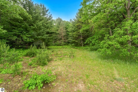 Tiny photo for 12270 Griffith Road, Brethren, MI 49619 (MLS # 1946445)