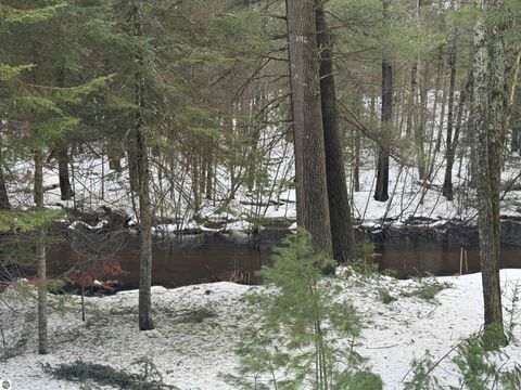 Tiny photo for 10986 Gillow Road SE, Fife Lake, MI 49633 (MLS # 1943766)