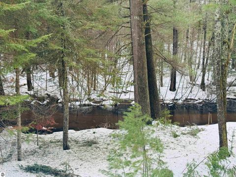 Tiny photo for 10986 Gillow Road SE, Fife Lake, MI 49633 (MLS # 1943766)