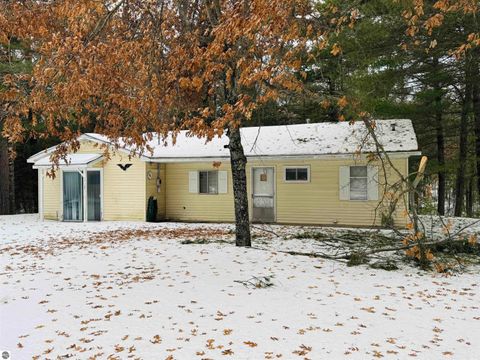 Photo of 10986 Gillow Road SE, Fife Lake, MI 49633 (MLS # 1943766)