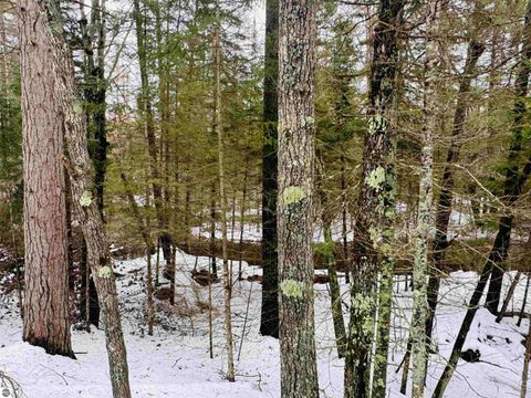 Tiny photo for 10986 Gillow Road SE, Fife Lake, MI 49633 (MLS # 1943766)