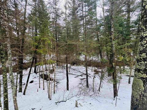 Tiny photo for 10986 Gillow Road SE, Fife Lake, MI 49633 (MLS # 1943766)