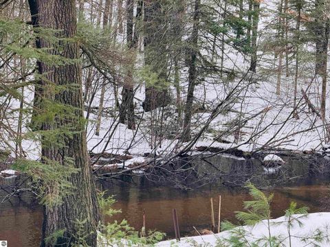 Tiny photo for 10986 Gillow Road SE, Fife Lake, MI 49633 (MLS # 1943766)