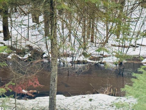 Tiny photo for 10986 Gillow Road SE, Fife Lake, MI 49633 (MLS # 1943766)