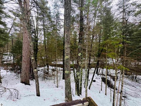 Tiny photo for 10986 Gillow Road SE, Fife Lake, MI 49633 (MLS # 1943766)