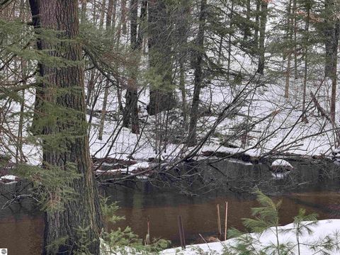 Tiny photo for 10986 Gillow Road SE, Fife Lake, MI 49633 (MLS # 1943766)