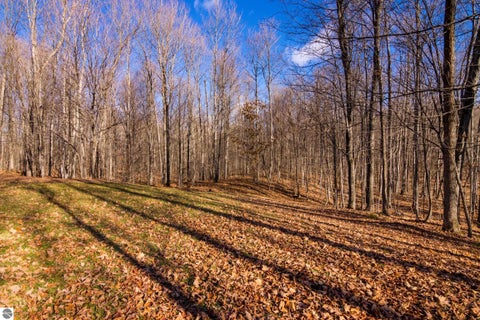 Tiny photo for 5877 E Lake Five Lane, Kalkaska, MI 49646 (MLS # 1940546)