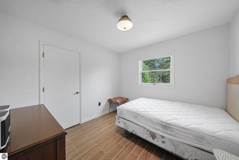 Tiny photo for 1536710 Wallin Road, Thompsonville, MI 49683 (MLS # 1944993)
