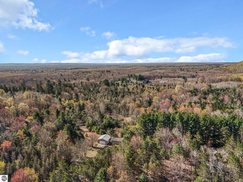 Tiny photo for 1536710 Wallin Road, Thompsonville, MI 49683 (MLS # 1944993)
