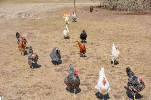 Tiny photo for 8616 Cedar Run Road, Traverse City, MI 49684 (MLS # 1942013)